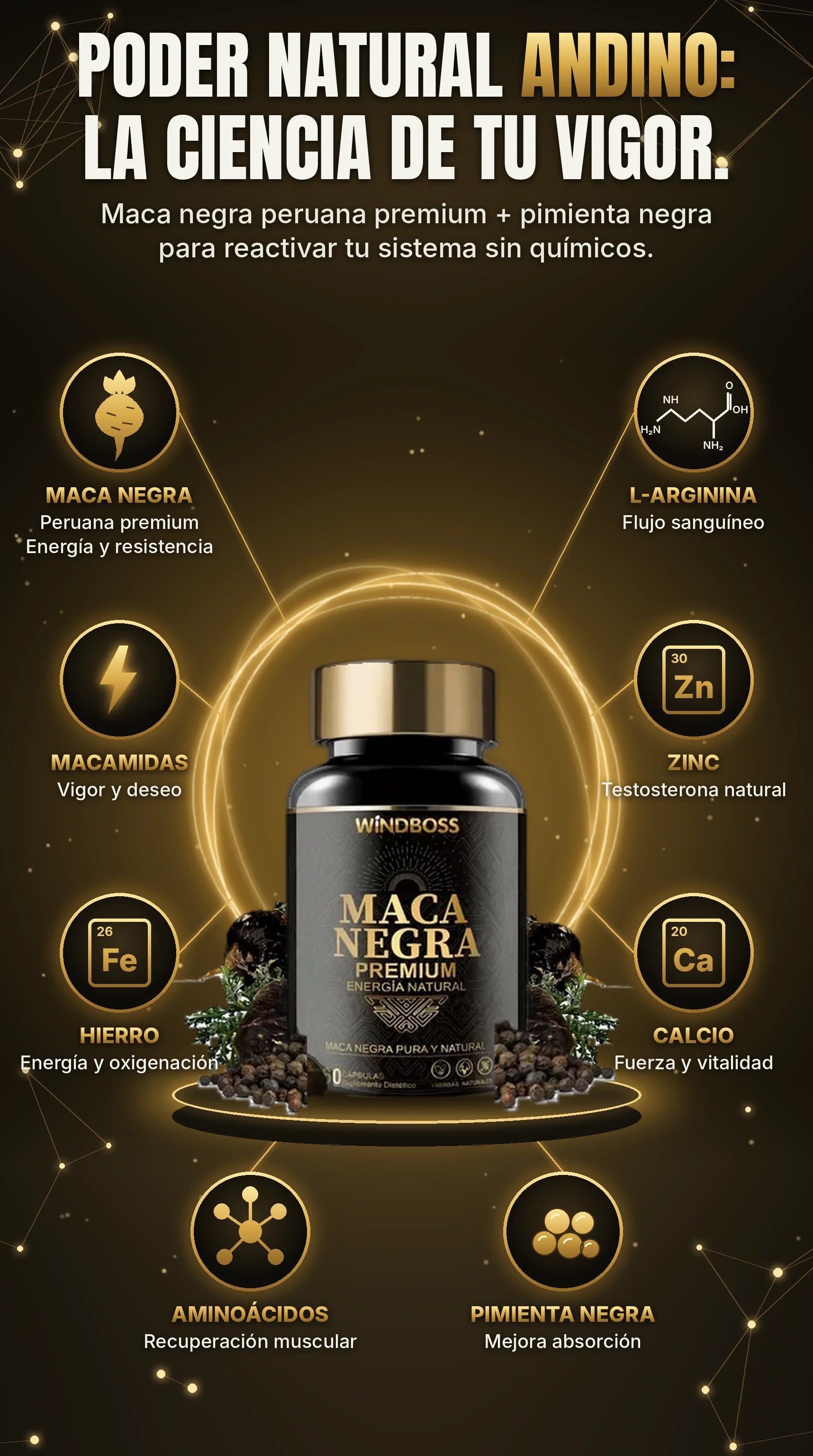 Ingredientes Maca Negra
